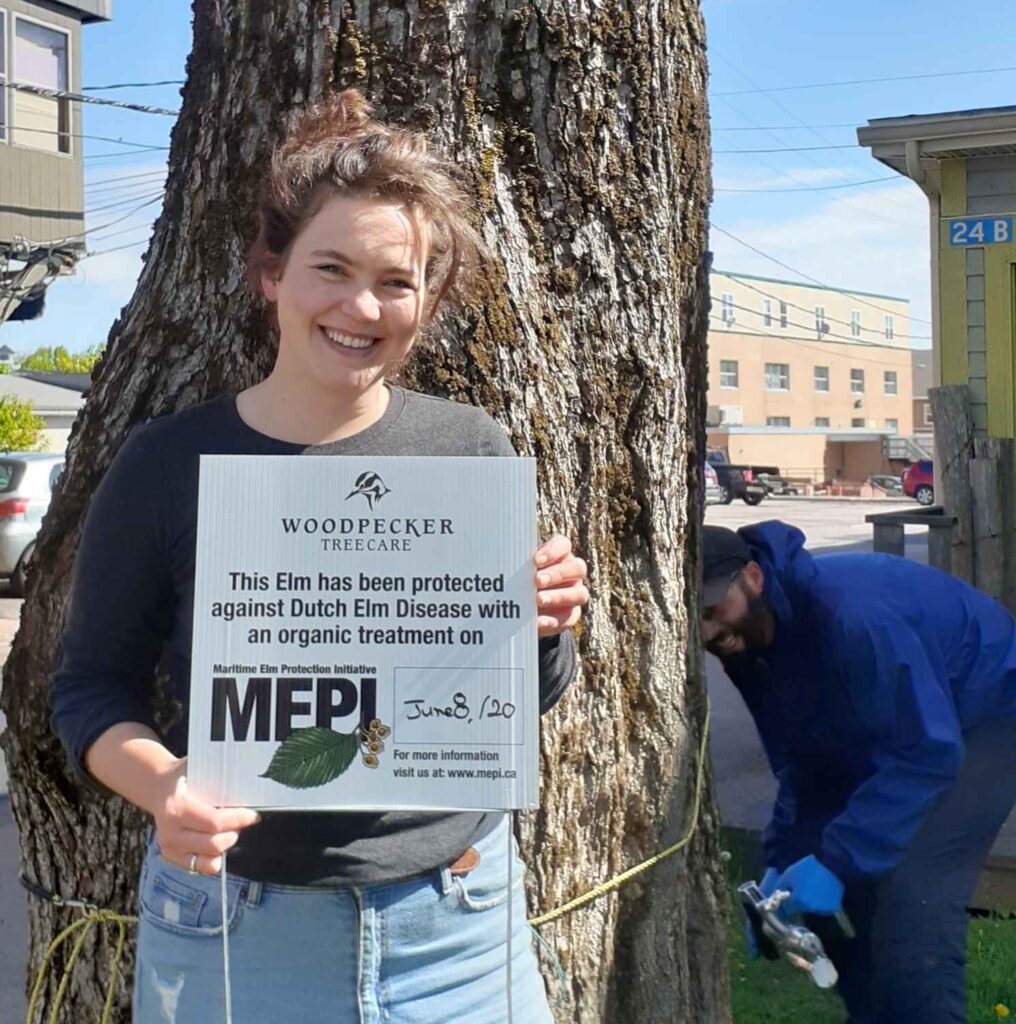 Olivia McNair holds a sign with Woodpecker Tree Care and Maritime Elm Protection Initiative logos on it while standing in front of an elm tree.