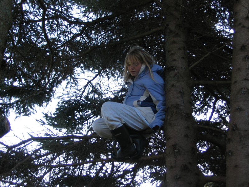 A young Beck sits in a tree wearing pajamas and a winter coat.