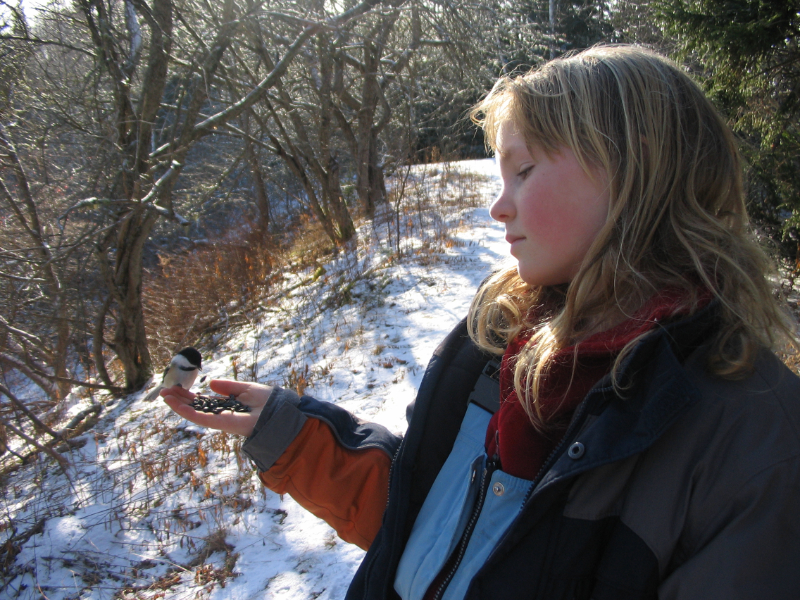 Young Beck holds a chickadee in her palm with birdseed. It is winter outside.