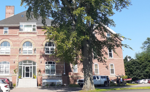 A heritage elm stands outside the old Prince Edward Island Hospital on Kensington Rd in Charlottetown