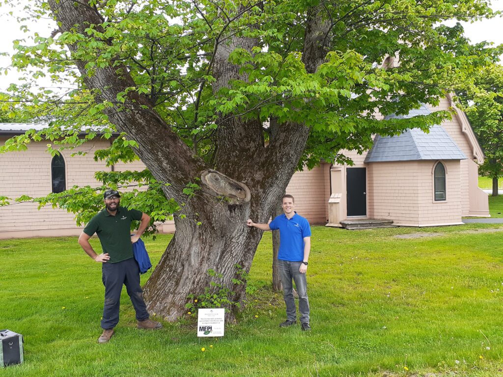 Rory and Kelton stand next to an elm trunk.