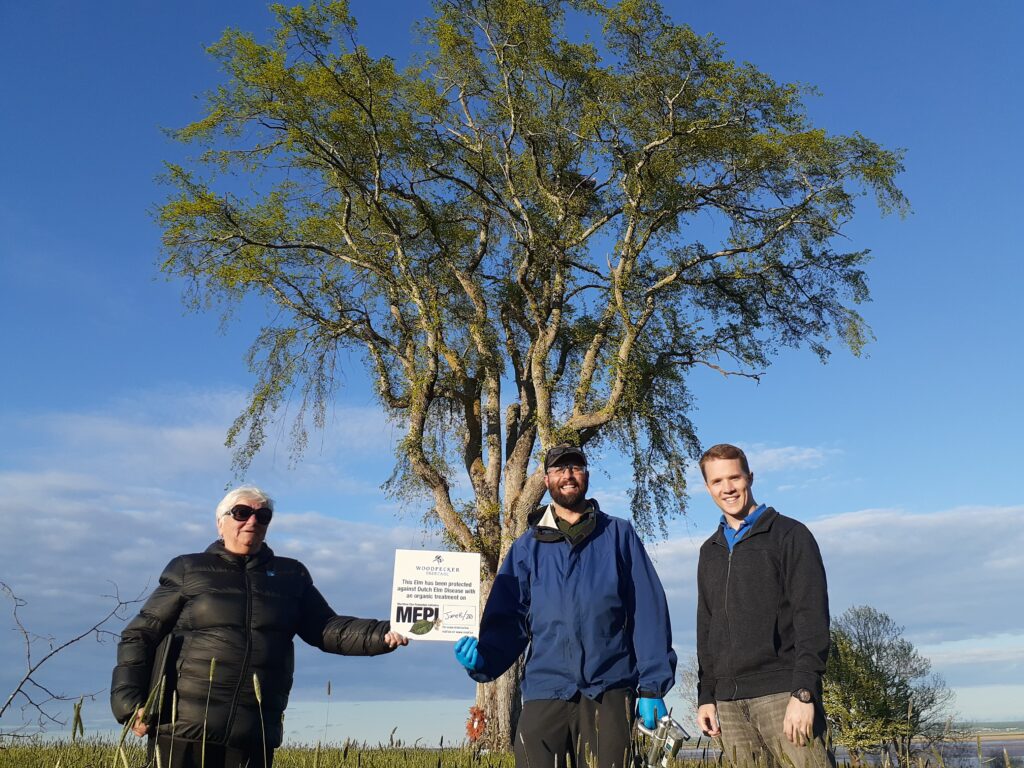 Pam Harrison, Rory Fraser, and Kelton all stand at the base of an elm tree. Pam is holding a MEPI sign.