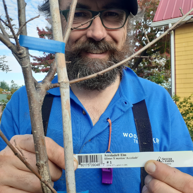 John Haney holds up a tag attached to an Accolade elm sapling and smiles. 