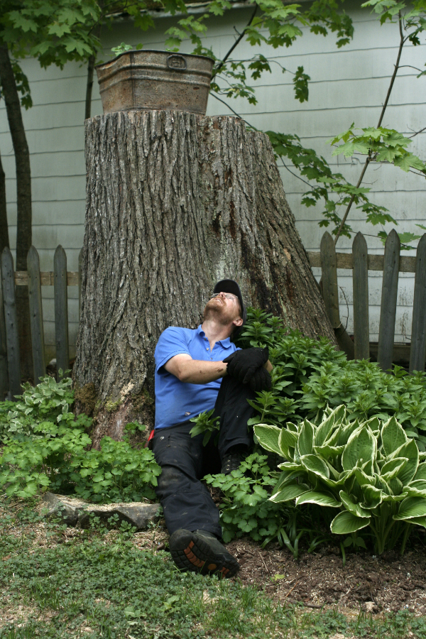 Kevin Anderson looks up at the elm stump he is leaning on.