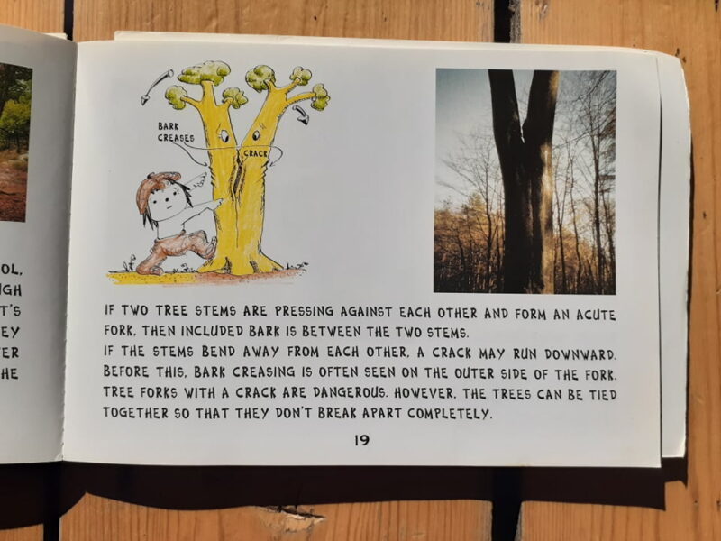 A photo of a childrens' book open to an illustrated page.