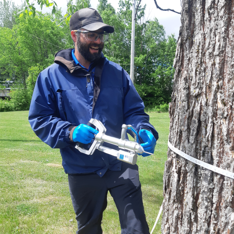 Rory holds a silver pesticide injector, about to plunge it into the bark of an elm tree. A tape measure encircles the trunk. Rory is wearing blue nitrile gloves, protective eyewear, a ballcap, and a smile. 