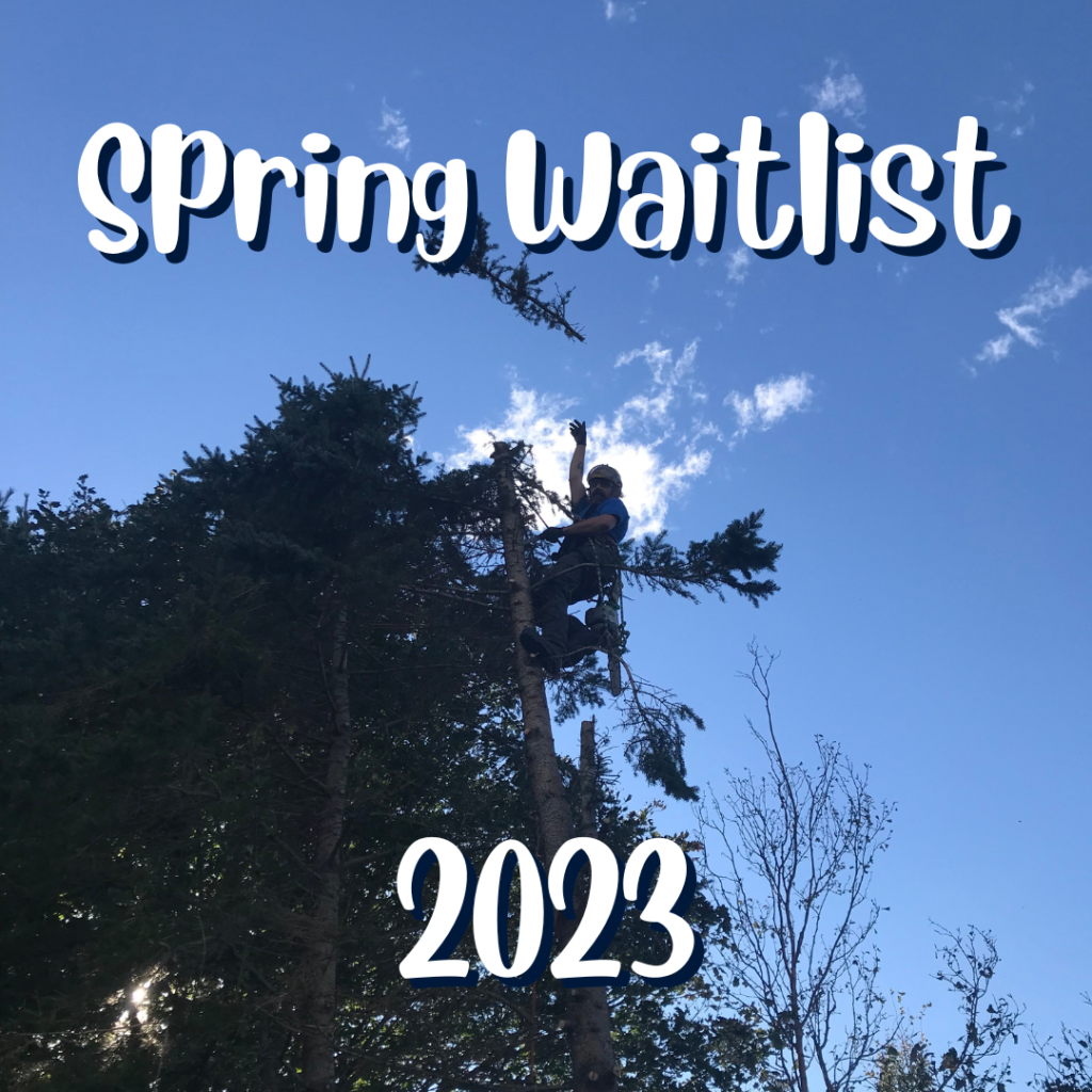 Spring Waitlist 2023