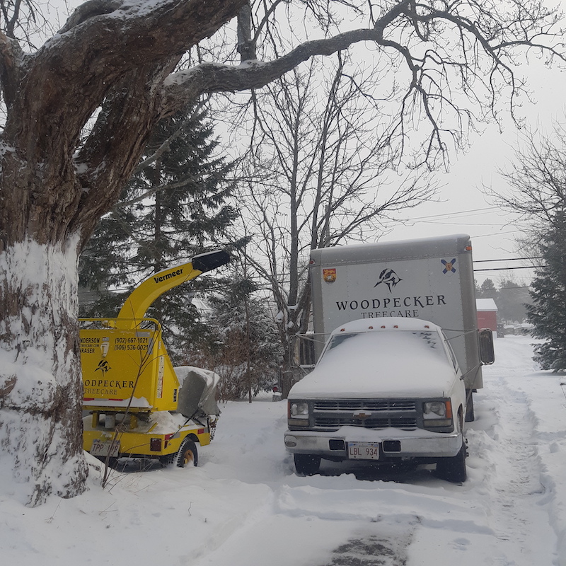 A wood chipper and a one-ton dump truck are covered in fresh snow.