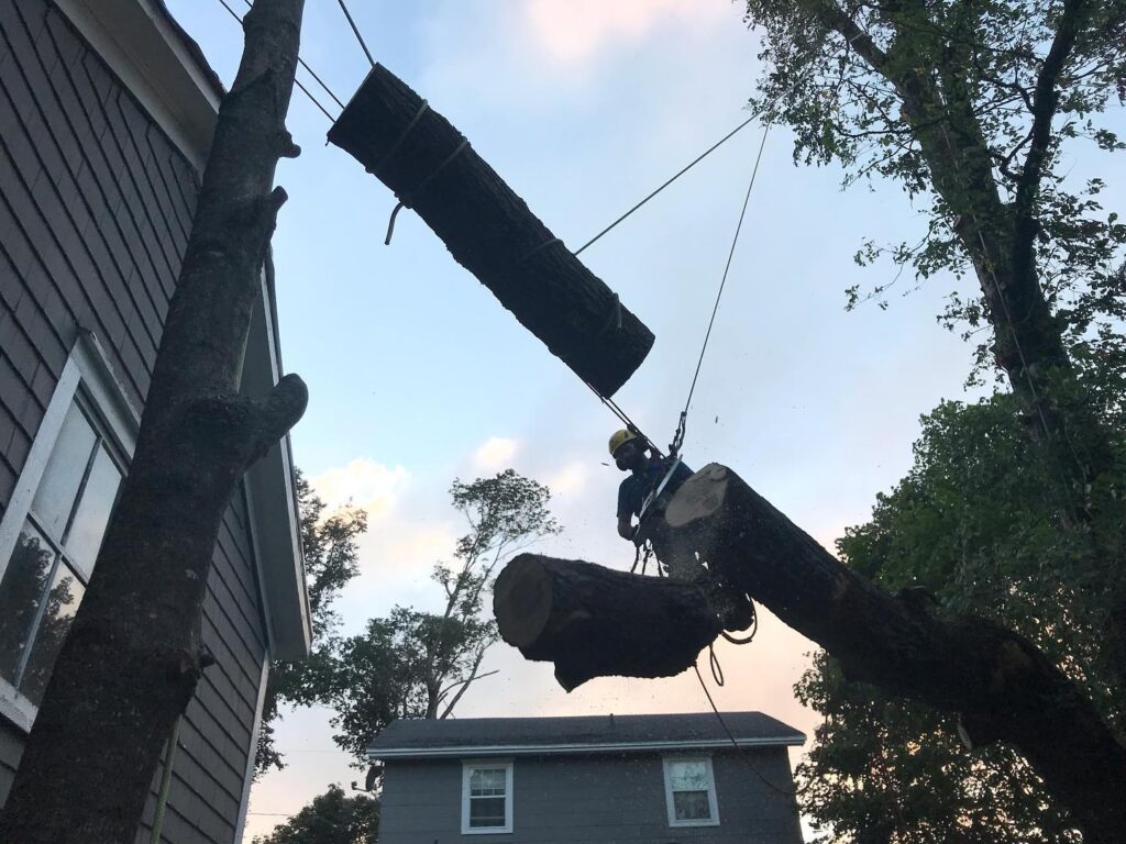 Three logs are held in mid-air with rigging ropes.