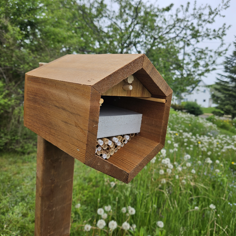 A bee box