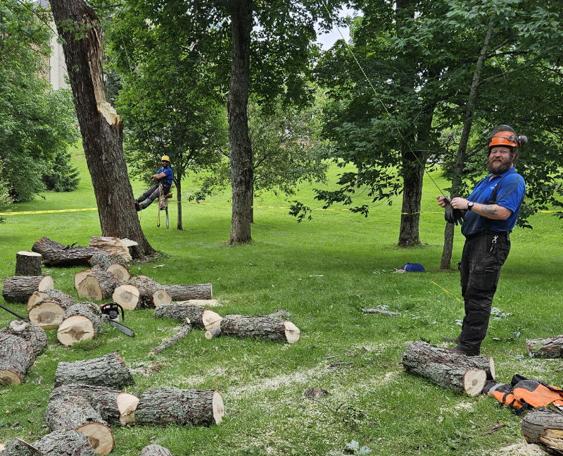 Two men wearing arborist gear smile at the camera. There are logs on the ground.