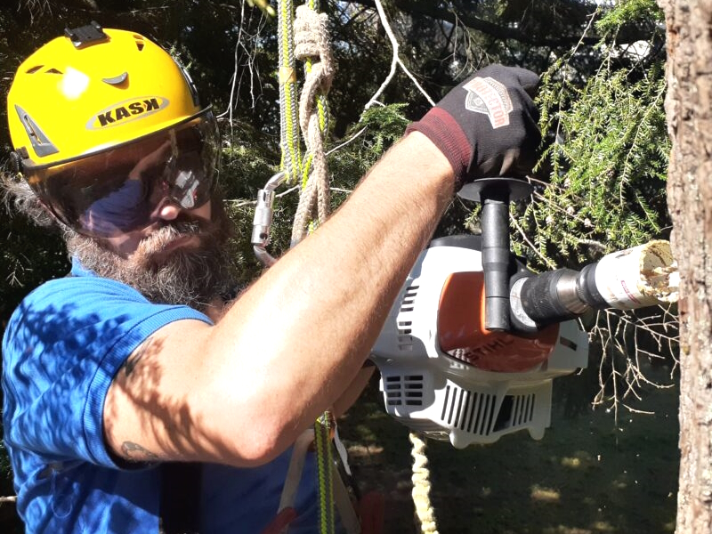John uses a drill to make a hole in a tree.